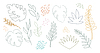 Abstract design elements set of contour exotic