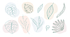 Vector clipart: Abstract design elements set of contour exotic