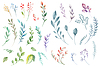 Photo 300 DPI: Watercolor set of branches of plants