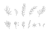 Abstract line art set of flowers and plants