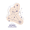 Sternbild Hydrus | Stock Vektrografik
