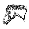 Vector clipart: Beautiful head of horse template