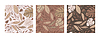 Vector clipart: Seamless pattern exotic plants trendy colors
