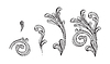 Baroque design elements vintage engraving ornament