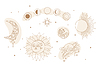 Stars, plants and sun seamless pattern white