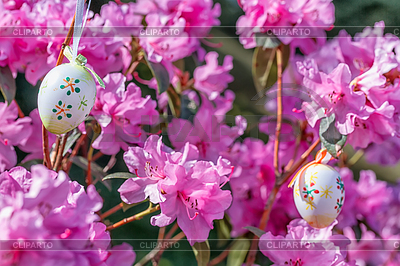 Easter egg on flowering tree branch | High resolution stock photo |ID 4190726