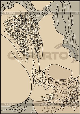 Japanese erotic shunga art - vagina and penis | Stock Vector Graphics |ID 4355413