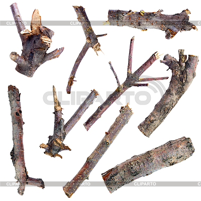 Set of dry tree branches | High resolution stock photo |ID 4865294