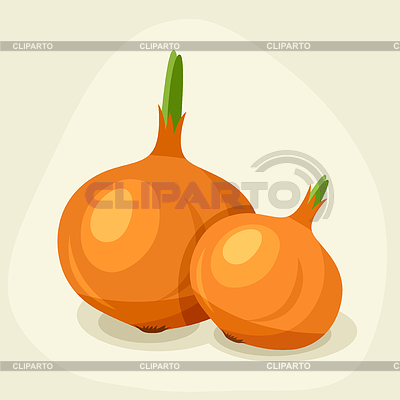 Stilisierte frischen reifen Zwiebeln | Stock Vektorgrafik |ID 4355557