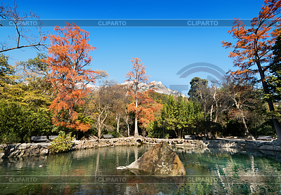 Lago en el parque | Foto de alta resolución |ID 4222791