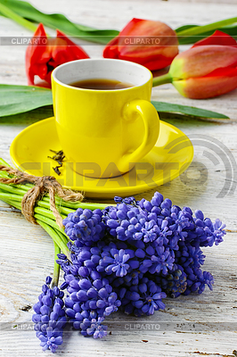 Flores y el té | Foto de alta resolución |ID 5931528