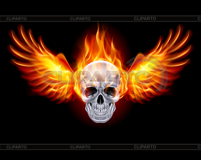 Cráneo ardiente con las alas de fuego | Ilustración vectorial de stock |ID 4086170