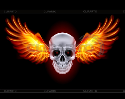 Cráneo con alas de fuego | Ilustración vectorial de stock |ID 4086235