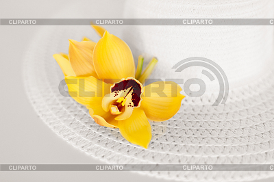 Weißen Hut und Blumen | Foto mit hoher Auflösung |ID 4445358
