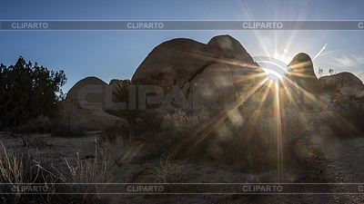 Joshua Tree Sunset | Foto de alta resolución |ID 4342019