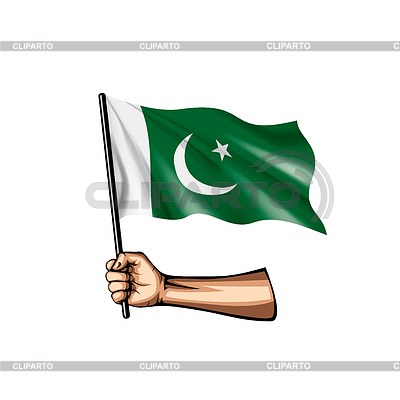 Bandera y mano de pakistán | Ilustración vectorial de stock |ID 6777059