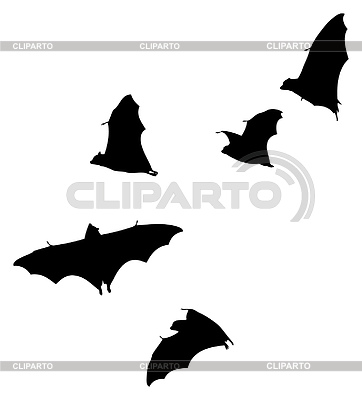 Bats | High resolution stock illustration |ID 4230385
