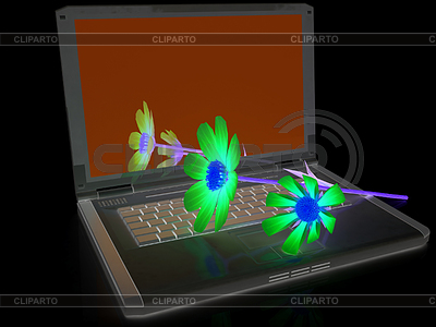 Cosmos flor en la computadora portátil | Ilustración de alta resolución |ID 5339983