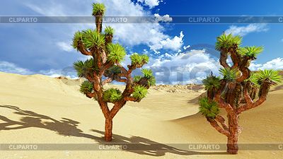 Joshua trees | High resolution stock illustration |ID 4483486