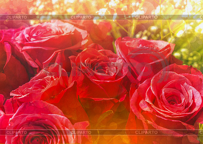 Bouquet of roses greeting card | High resolution stock photo |ID 6946436