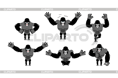 Gorila establece poses. La expresión de las emociones mono. | Ilustración vectorial de stock |ID 6092928