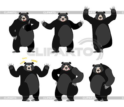 Baribal amerikanischen schwarzen Bären-Set. Grizzly verschiedene | Stock Vektorgrafik |ID 6099592