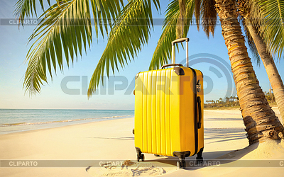 Gelber Koffer am Strand unter einer Palme | Foto mit hoher Auflösung |ID 7585986