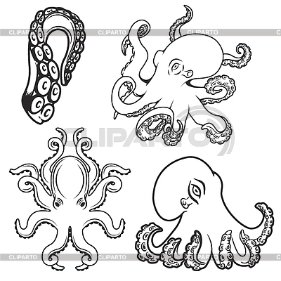 Conjunto de iconos de pulpo. Elemento de diseño | Ilustración vectorial de stock |ID 7116089