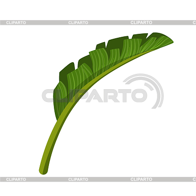 Hoja verde de la palmera. de dibujos animados de colores | Ilustración vectorial de stock |ID 6275688