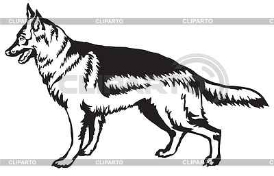 Dekorative stehende Porträt des Hundes deutsch | Stock Vektorgrafik |ID 6365979
