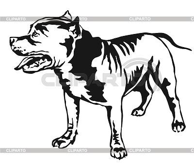 Retrato de pie decorativo de American Pit Bull | Ilustración vectorial de stock |ID 6372207