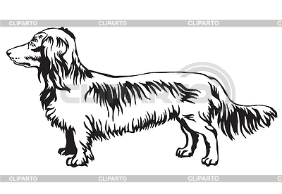 Retrato de pie decorativo de perro de pelo largo | Ilustración vectorial de stock |ID 6409085