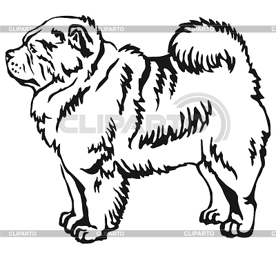 Retrato decorativo de pie de Chow Chow | Ilustración vectorial de stock |ID 6514869