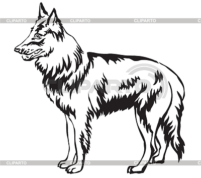 Decorative standing portrait of Belgian Shepherd | Stock Vector Graphics |ID 6560825