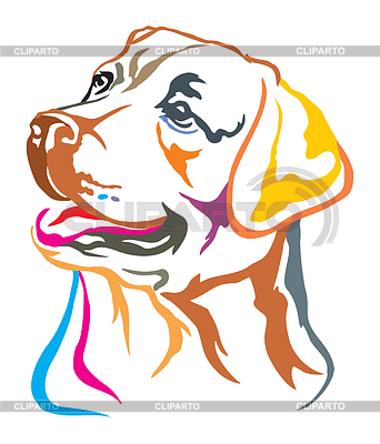 Colorful decorative portrait of Labrador Retriever | Stock Vector Graphics |ID 6604901
