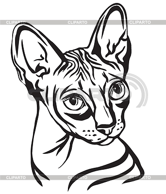 Retrato decorativo de Sphynx Cat | Ilustración vectorial de stock |ID 6619492