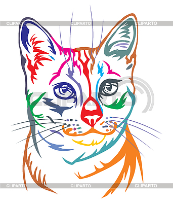 Buntes dekoratives Porträt der ägyptischen Mau Cat | Stock Vektorgrafik |ID 6619502