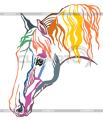 Colorido retrato decorativo de caballo | Ilustración vectorial de stock |ID 6620749