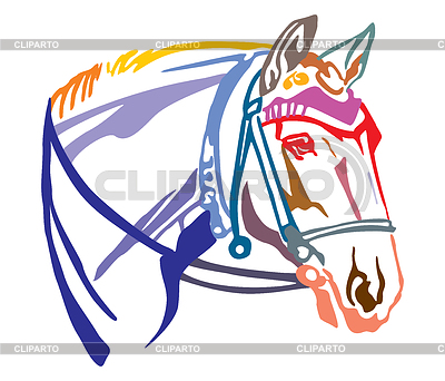 Colorido retrato decorativo de caballo con brida | Ilustración vectorial de stock |ID 6629882