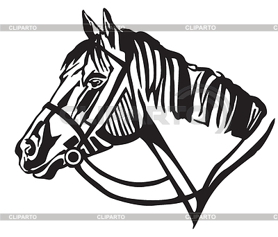 Retrato decorativo de caballo en profil | Ilustración vectorial de stock |ID 6629894