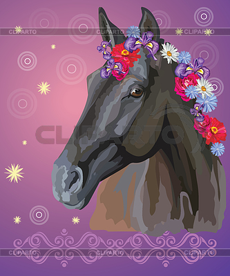 Pferdeportrait mit Blumen | Stock Vektorgrafik |ID 6676637
