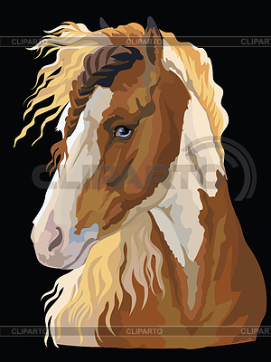 Colorful Horse portrait- | Stock Vector Graphics |ID 6727809