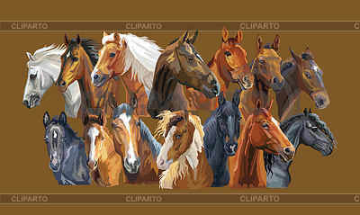 Conjunto de caballos | Ilustración vectorial de stock |ID 6966025
