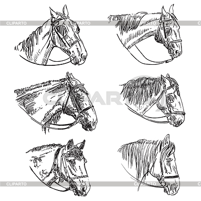Conjunto de caballos de dibujo a mano | Ilustración vectorial de stock |ID 7004895