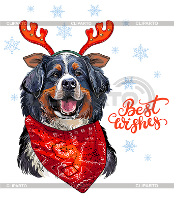 Perro de montaña bernés de Navidad | Ilustración vectorial de stock |ID 7280119