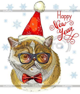 Gato exótico divertido en sombrero de la Navidad | Ilustración vectorial de stock |ID 7392884