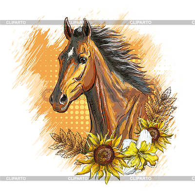 Head of horse with sunflowers | Stock Vector Graphics |ID 7424648