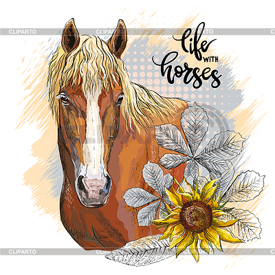 Portrait of horse and sunflower | Stock Vector Graphics |ID 7424654