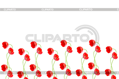 Tulipanes de flores de primavera | Foto de alta resolución |ID 6946070